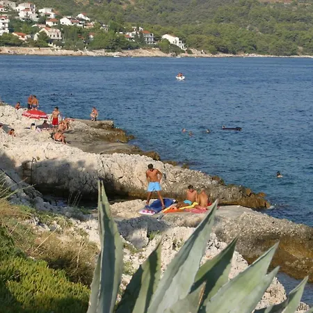 Damjan