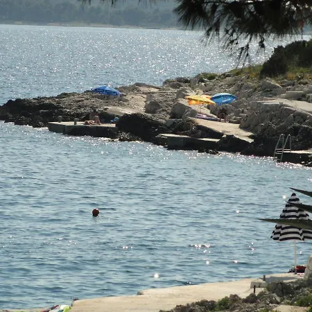 Damjan Trogir